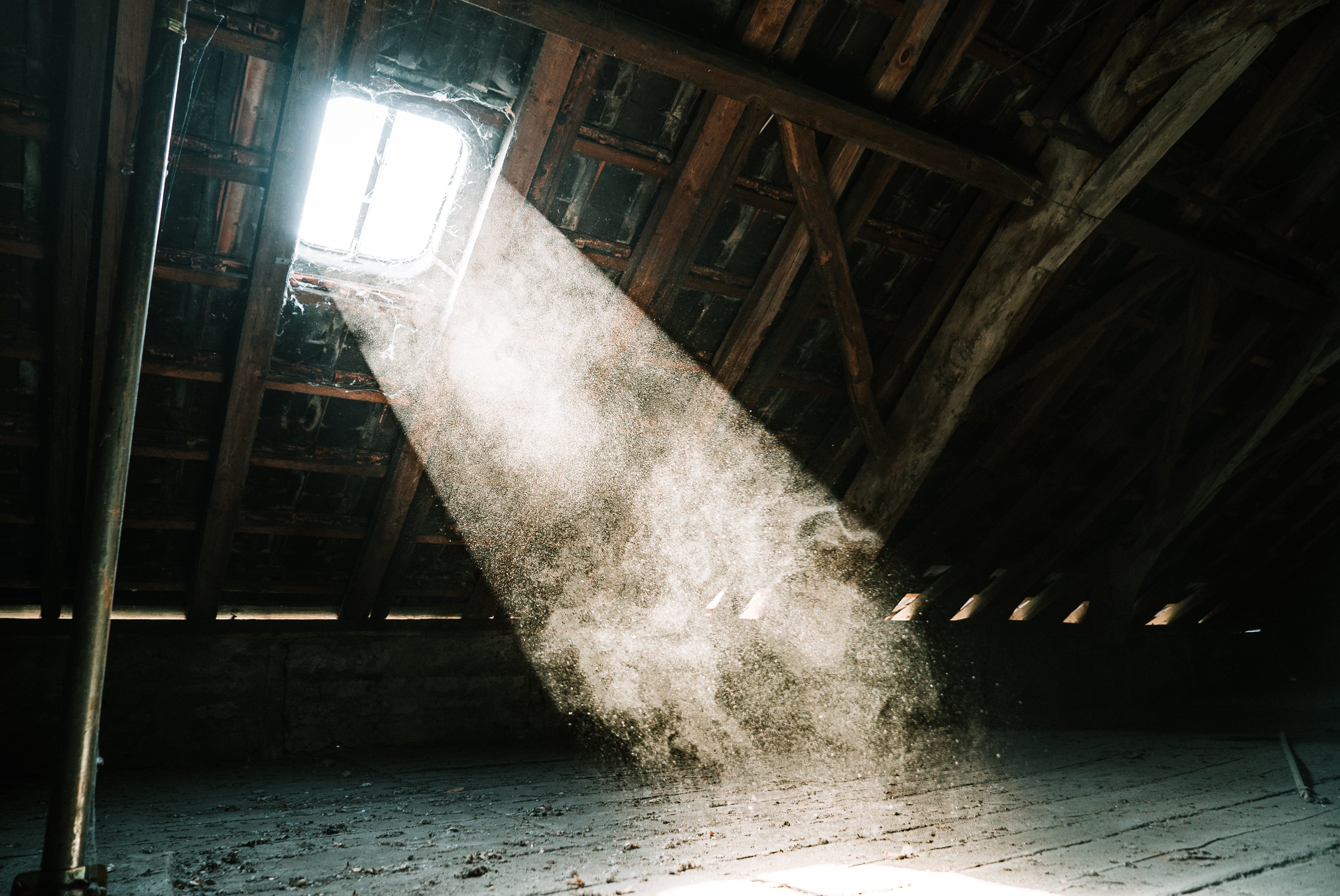 Learn The Secret To Shutting Out Attic Pests