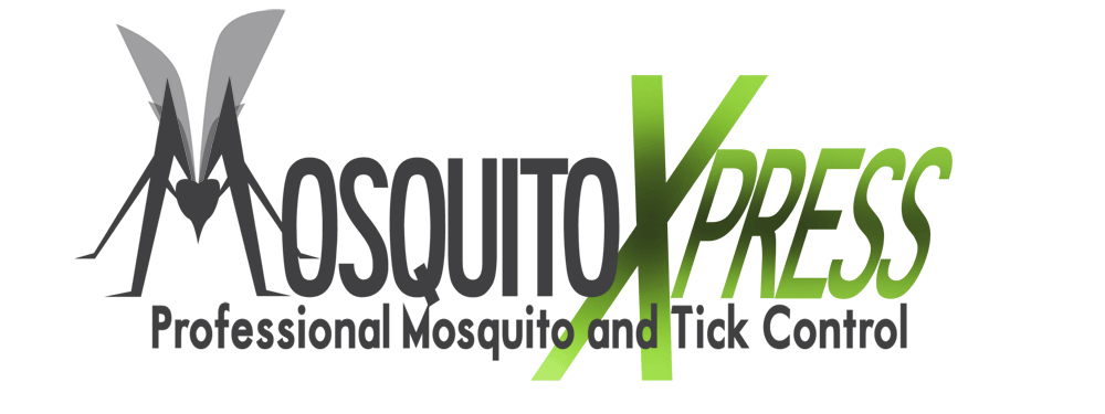 Mosquito Express Logo
